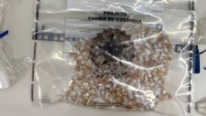 Policia-Civil-desarticula-ponto-de-armazenamento-de-drogas-foto-divulgacao-