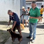 Vacinacao-Caes-e-Gatos-Foto-Abraao-Melo-200726
