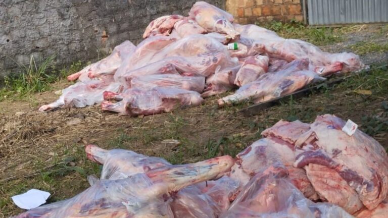 carga-carne-roubada-Salvador-foto-reproducao-