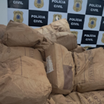 carga-de-cacau-em-po
