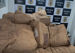 carga-de-cacau-em-po