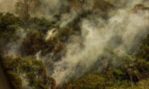 crise-climatica-
