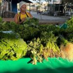 hortalica-cheiro-verde-folhas-Feiriha-da-Estacao-Nova-Feira-de-Santana-Foto-Paulo-Jose-Acorda-Cidade-00