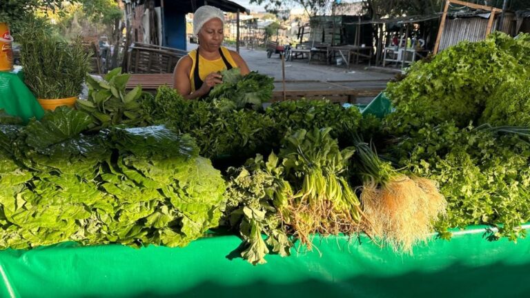 hortalica-cheiro-verde-folhas-Feiriha-da-Estacao-Nova-Feira-de-Santana-Foto-Paulo-Jose-Acorda-Cidade-00