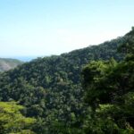 meio-ambiente
