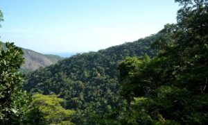 meio-ambiente