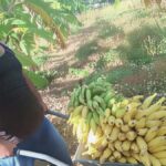 produtor-rural-foto-reproducao-redes-sociais-