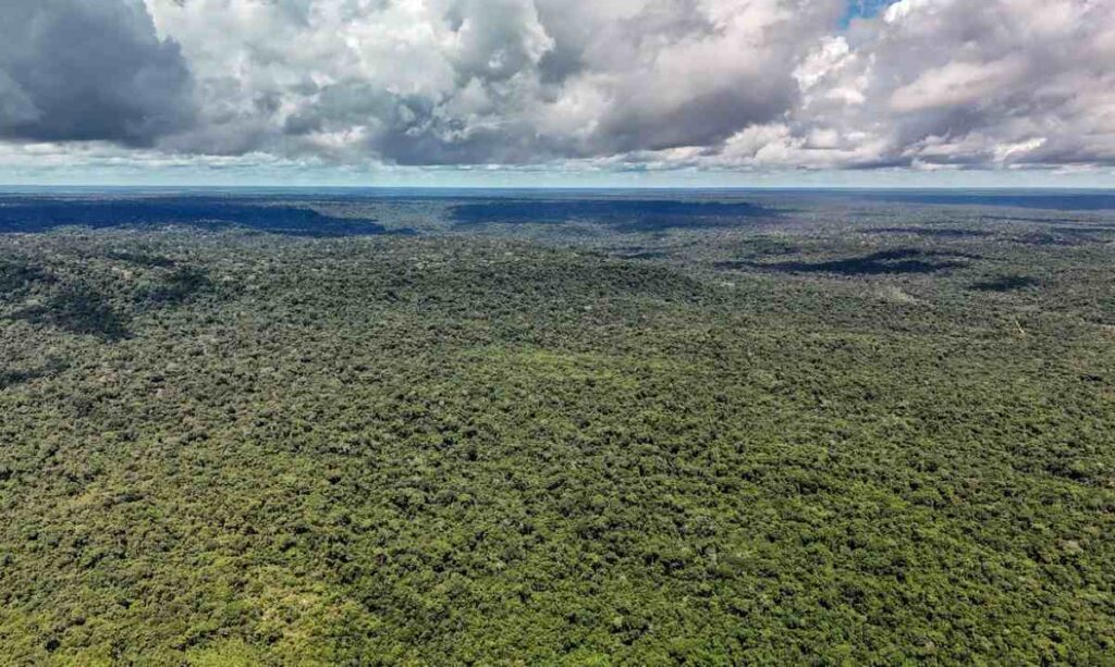 Amazonia-Foto-Rafa-Neddermeyer-Agencia-Brasil