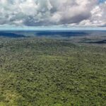 Amazonia-Foto-Rafa-Neddermeyer-Agencia-Brasil