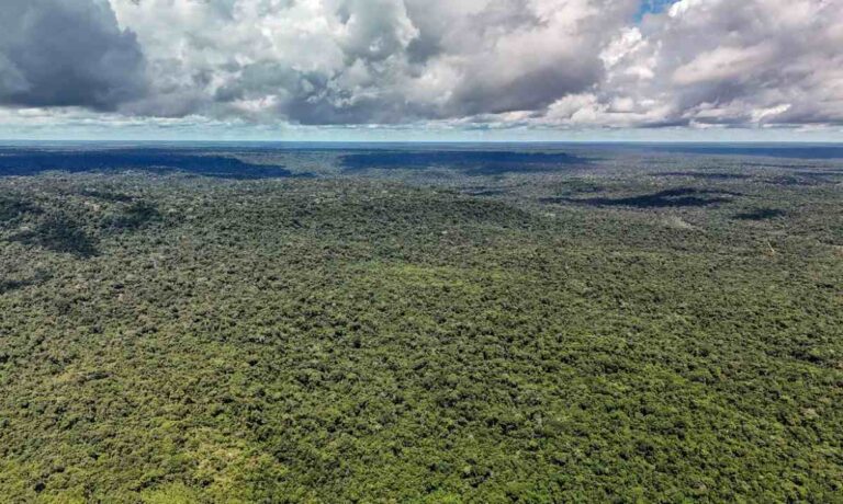 Amazonia-Foto-Rafa-Neddermeyer-Agencia-Brasil
