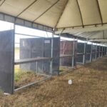 Barracas-na-expofeira-Copia