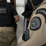 DHPP-e-Policia-Militar-Foto-ilustrativa-Divulgacao-Ascom-PCBA
