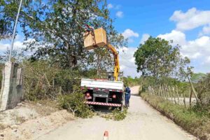 Limpeza-de-Vegetacao-Estradas-Vicinais-Fotos-Divulgacao-SEINFRA-1a-4