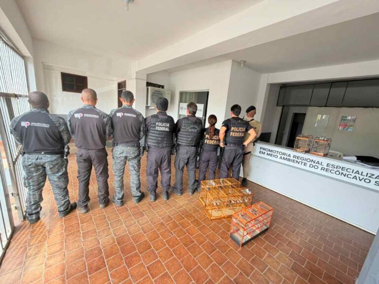 Operacao-contra-fraude-em-sistema-de-controle-de-passaros