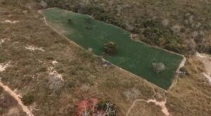 Operacao-da-PF-destroi-40-mil-pes-de-maconha-e-cumpre-mandados-na-Bahia-e-outros-estados-Foto-Reproducao-PRF-3