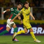Palmeiras-x-Mirassol-Foto-Cesar-Greco-Palmeiras