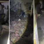 Suspeito-de-praticar-zoofilia-e-maus-tratos-contra-caes-e-preso-na-Bahia