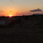 amanhecer-sol-noite-foto-Ed-Santos-Acorda-Cidade-