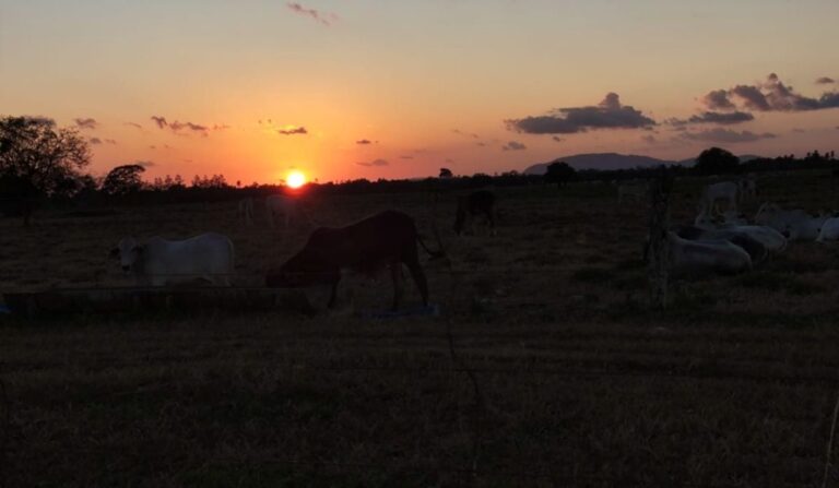 amanhecer-sol-noite-foto-Ed-Santos-Acorda-Cidade-1-1