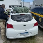 apreensao-de-droga-maconha