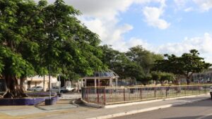 arvore-praca-lazer-natureca-parque-brinquedos-Conceicao-do-Jacuipe-Berimbau-Foto-Jefferson-Araujo-Acorda-Cidade-
