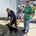 caes-sendo-vacinados