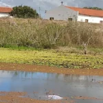 vitima-encontrada-morta-em-tanque