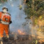 Bahia-mobiliza-21-bombeiros-e-duas-aeronaves-para-combater-incendio-florestal-no-Norte-do-estado-Foto-Ascom-CBMBA-