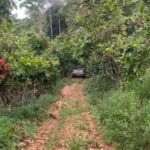 Carro-do-empresario-Foto-Reproducao-Giro-Ipiau