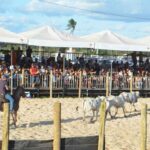Expofeira-2-1