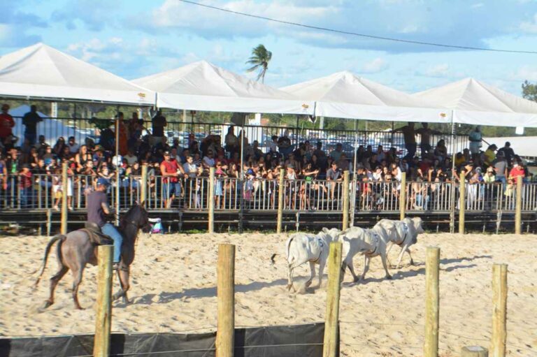 Expofeira-2-1