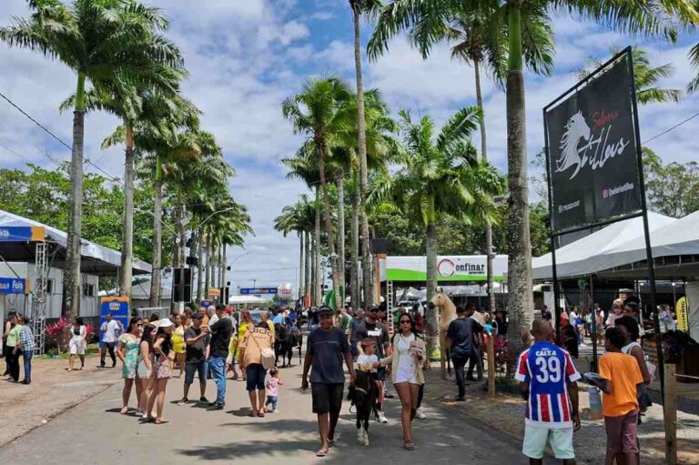 Expofeira