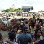 Festa-do-Vaqueiro-do-povoado-Alecrim-Miudo-2-190925