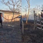 Incendio-atinge-fazenda-e-exige-5h-de-combate-em-Riachao-do-Jacuipe-foto-divulgacao-