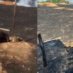 Incendio-avanca-por-propriedades-rurais-e-deixa-animais-mortos-no-Oeste-da-Bahia-fogo-se-aproxima-da-BA-172