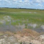 Lagoa-Salgada-passa-por-limpeza3