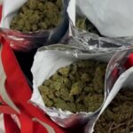 Megaoperacao-prende-33-pessoas-e-apreende-17-kg-de-drogas-na-Bahia-e-outros-tres-estados-Foto-Divulgacao-Ascom-PCBA-2