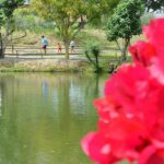 Parque-da-Lagoa-primavera-ft-Foto-Valdenir-Lima3