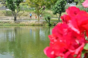 Parque-da-Lagoa-primavera-ft-Foto-Valdenir-Lima3