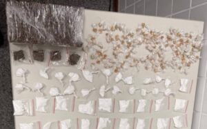 Policia-apreende-maconha-crack-e-cocaina-durante-acao-em-Feira-de-Santana-Foto-Reproducao-67a-CIPM