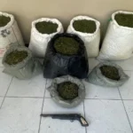 apreensao-maconha-