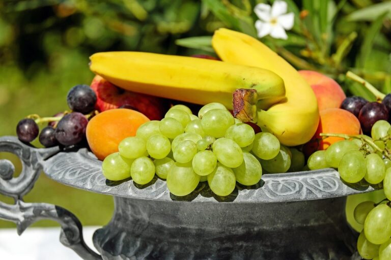 fruto-1