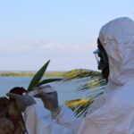 gripe-aviaria-