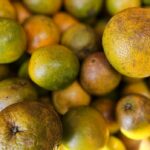 laranjas-no-centro-de-abastecimento-de-Feira-de-Santana-foto-Paulo-Jose-Acorda-Cidade-3