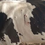 morte-de-animais-em-fazenda-de-Queimadas