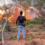 22-mil-pes-de-maconha-sao-erradicados-durante-acao-policial-em-Campo-Formoso-Foto-Reproducao-SSP