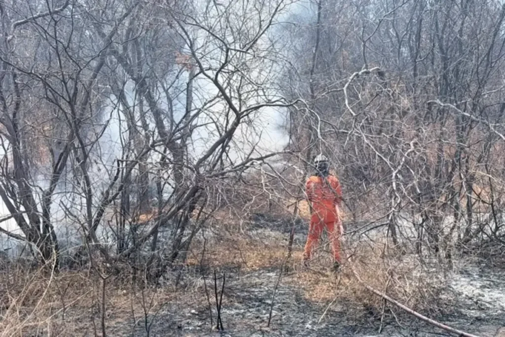 9048-bom-jesus-da-lapa-incendio-vegetacao-ba160