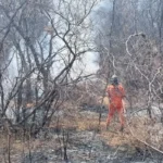 9048-bom-jesus-da-lapa-incendio-vegetacao-ba160
