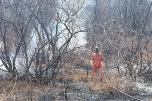9048-bom-jesus-da-lapa-incendio-vegetacao-ba160