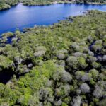 Amazonia-Foto-Agencia-Brasil